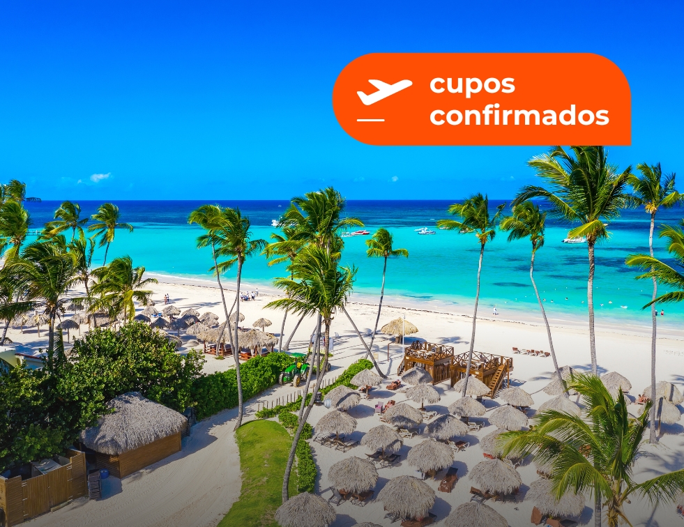 vive punta cana
